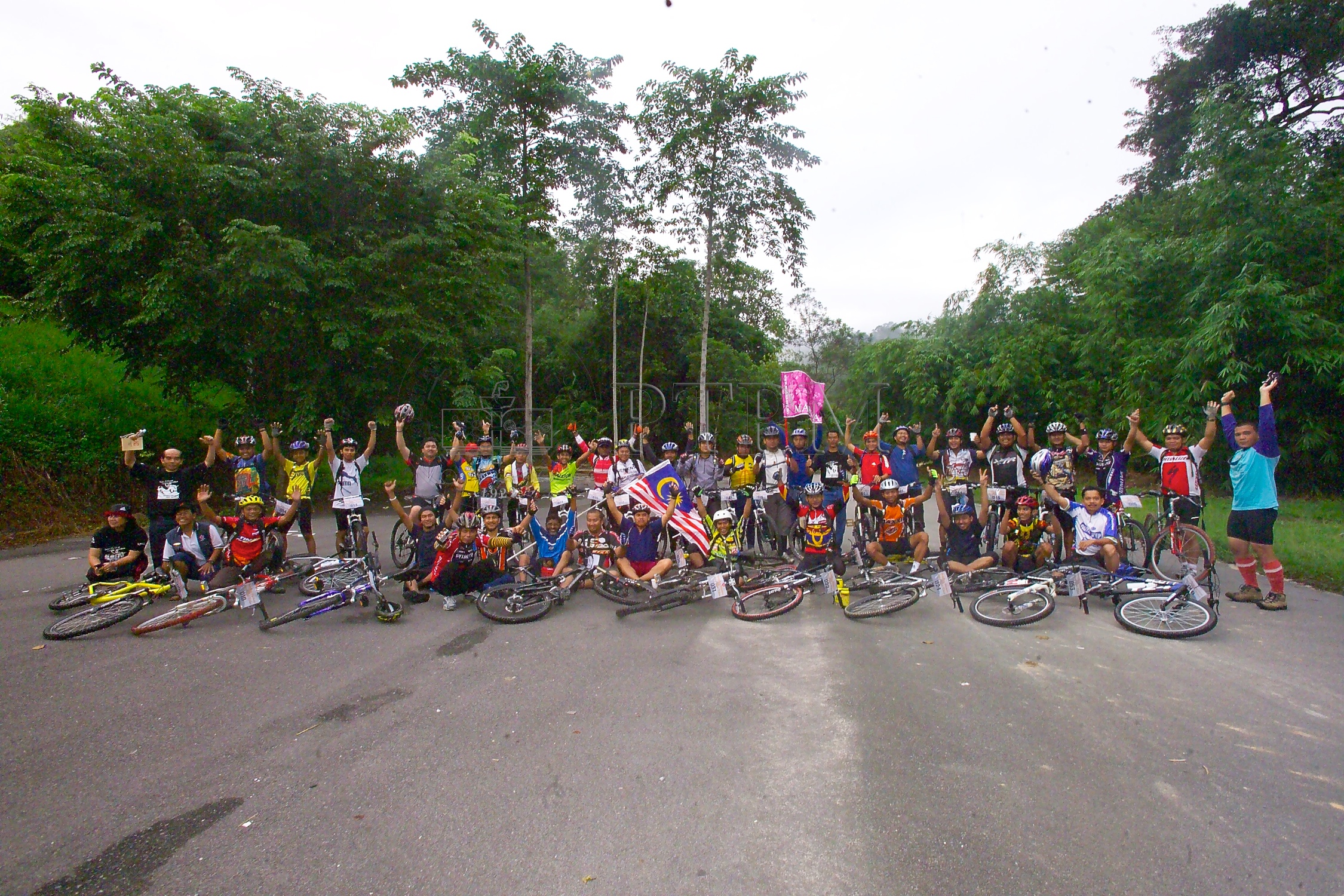 PTPM 06 31 kilau D9X44201